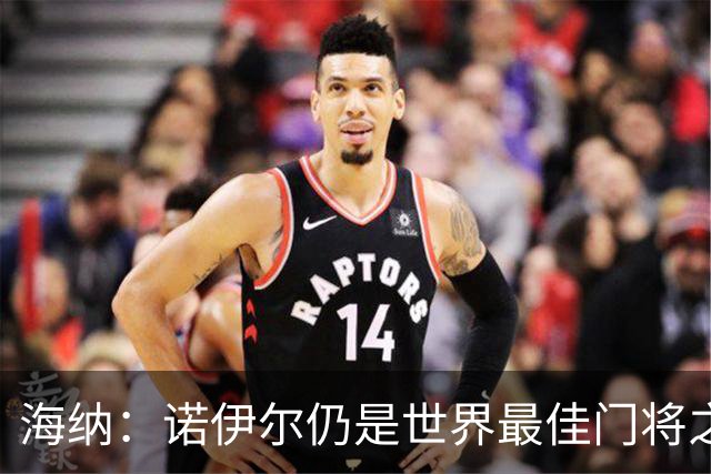 海纳：诺伊尔仍是世界最佳门将之一，失误和年龄无关